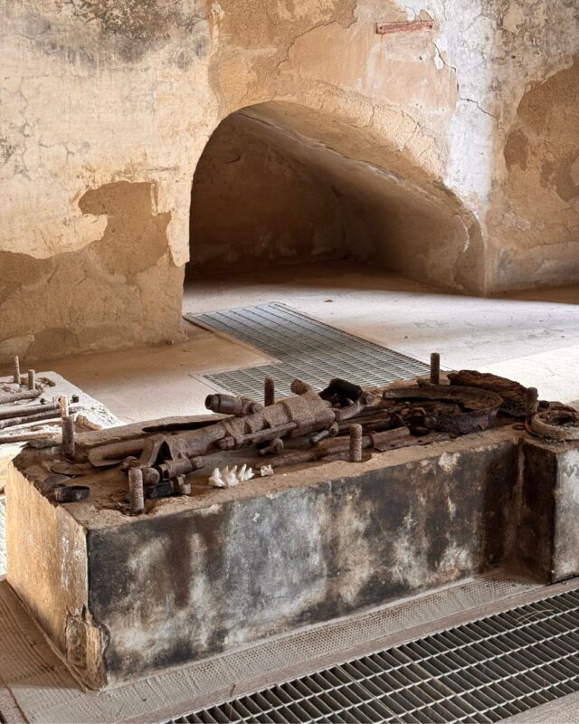 Marea_Art_Project_Residenza_Adelaide_Cioni25