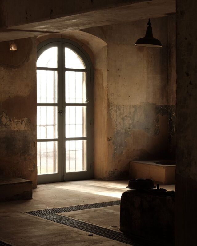 Marea_Art_Project_Residenza_Adelaide_Cioni26