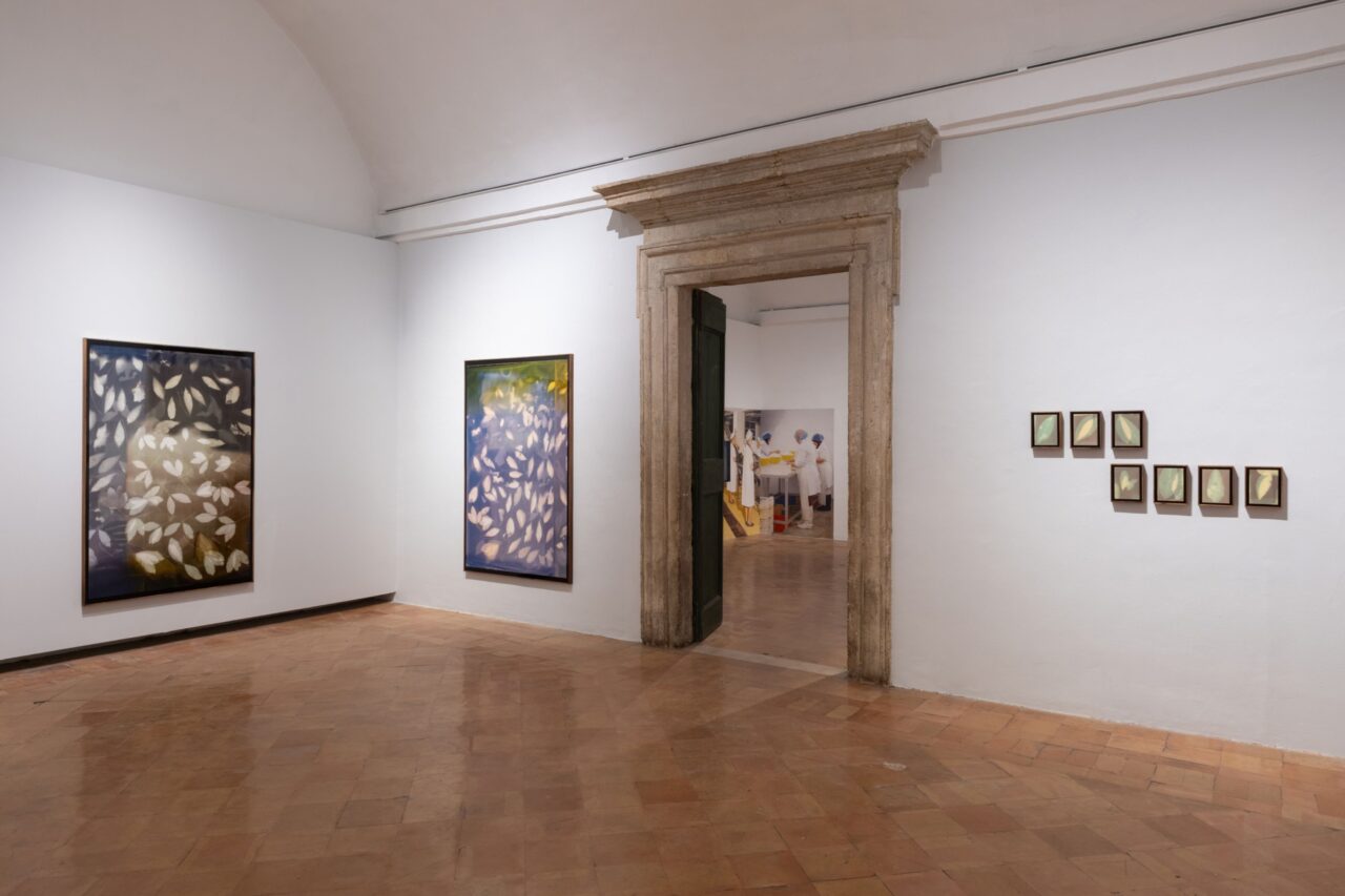 Marea Art Project – Villa Medici – Oracoli al di là del mare – Opening5