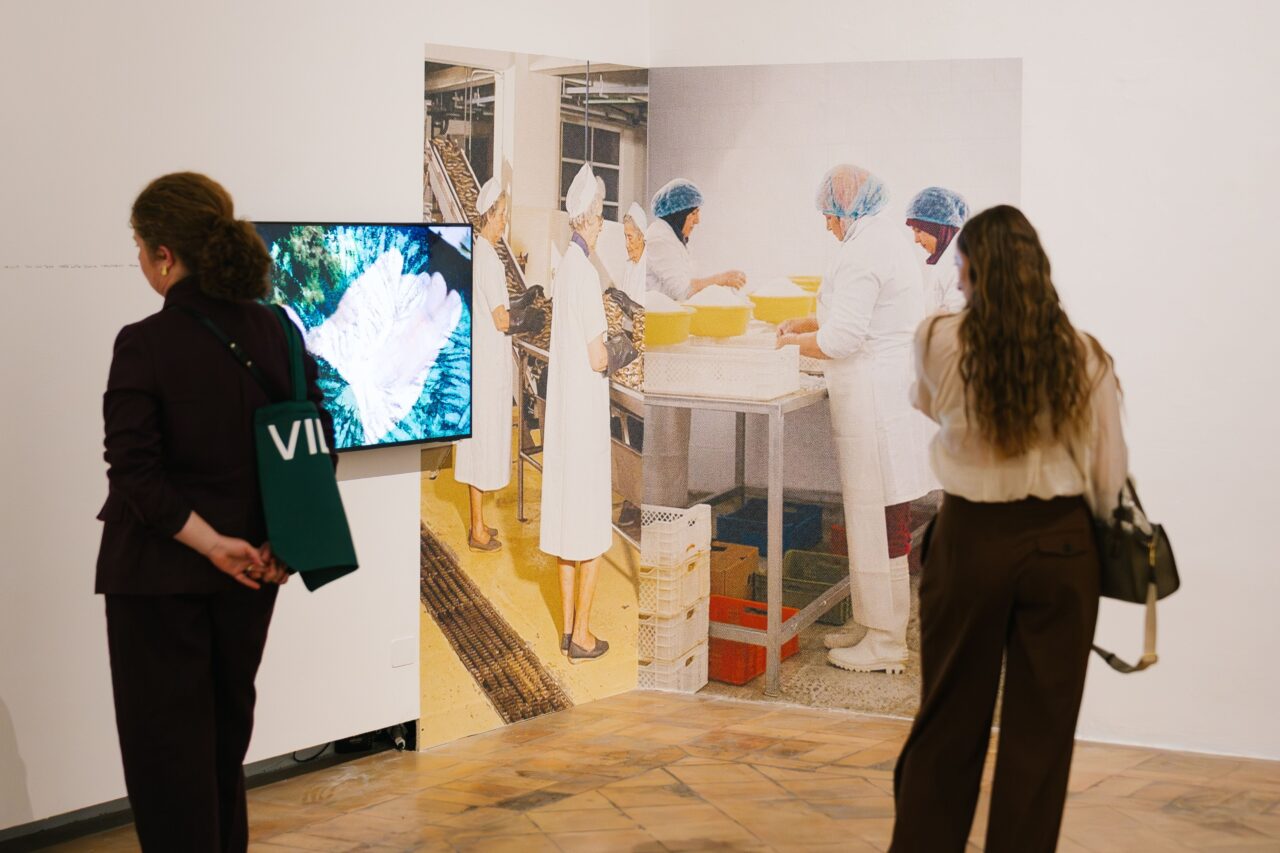Marea Art Project – Villa Medici – Oracoli al di là del mare – Opening7